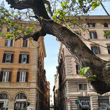 Vatican Near Sweet Home Terrace روما المظهر الخارجي الصورة