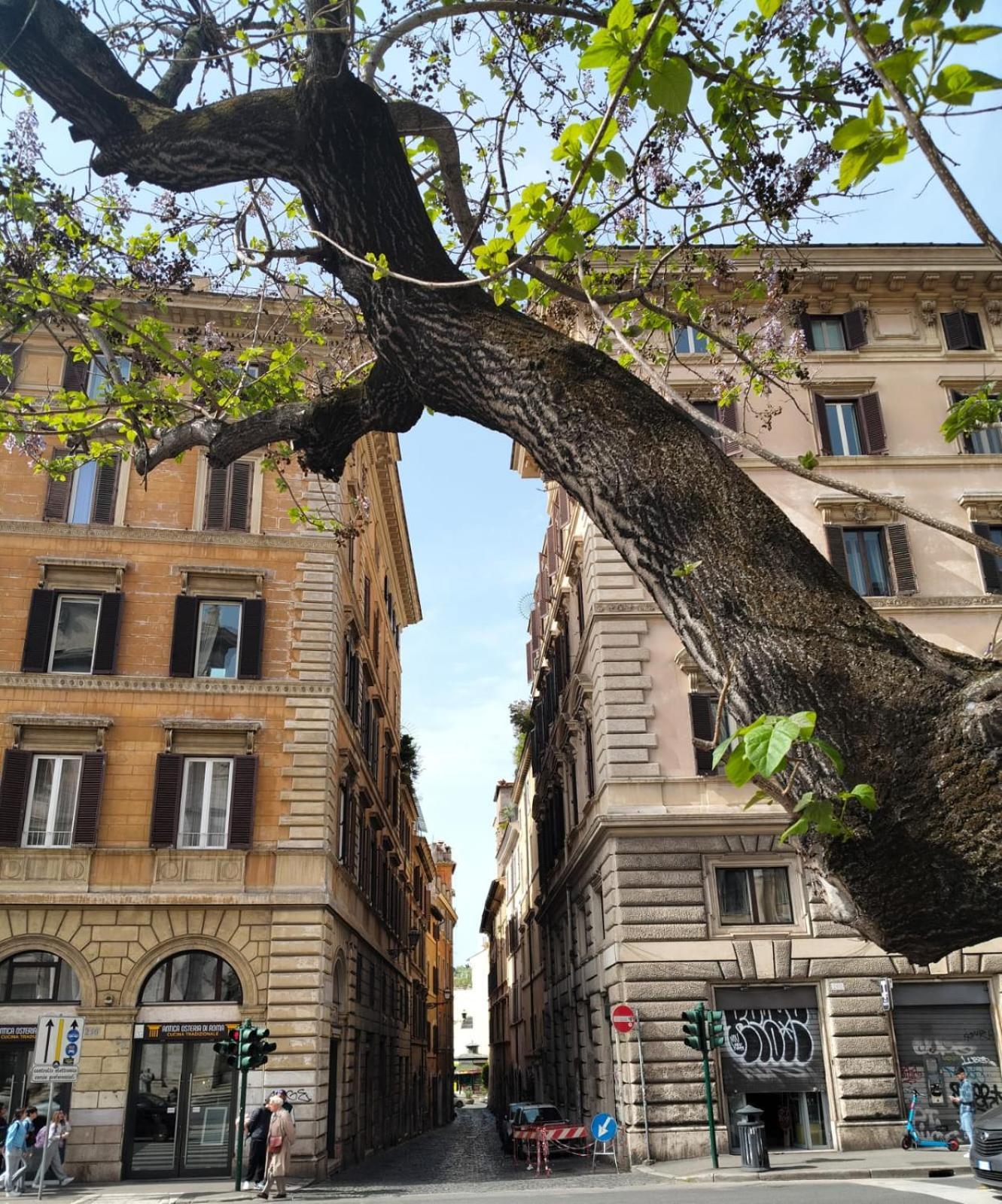Vatican Near Sweet Home Terrace روما المظهر الخارجي الصورة